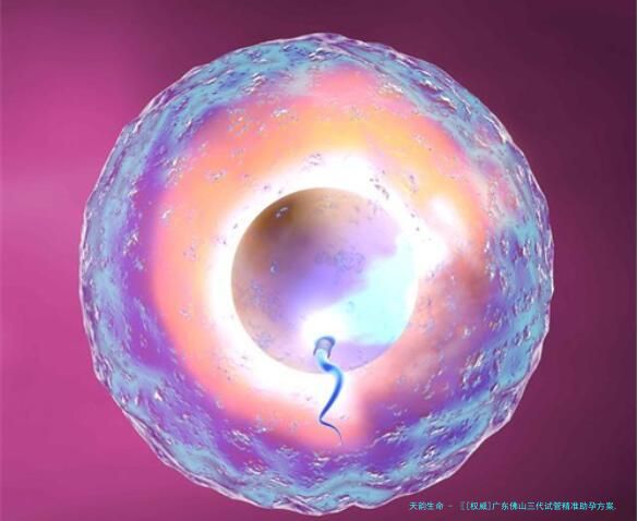 〖[权威]广东佛山三代试管精准助孕方案,2025让生育梦想照进现实!〗