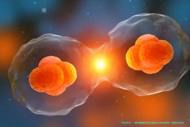 福州哪家医院试管成功率比较高？附医院具体试管成功率及详情！