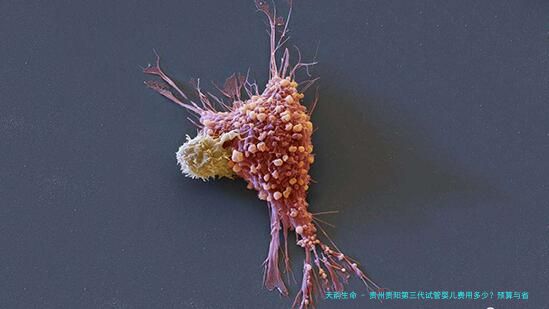 贵州贵阳第三代试管婴儿费用多少？预算与省钱方法全知道！