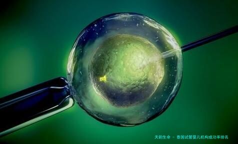 泰国试管婴儿机构成功率排名