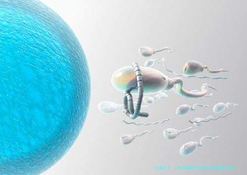 你知道哪些女性做试管要助孕吗？