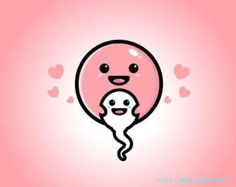 试管婴儿卵泡数量少的原因