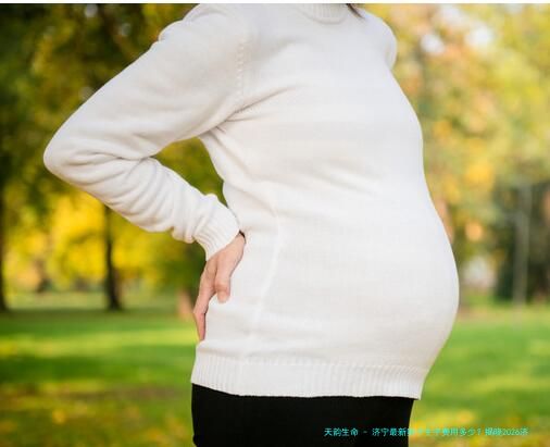 济宁最新卵子生子费用多少？揭晓2026济宁正规试管助孕医院名单