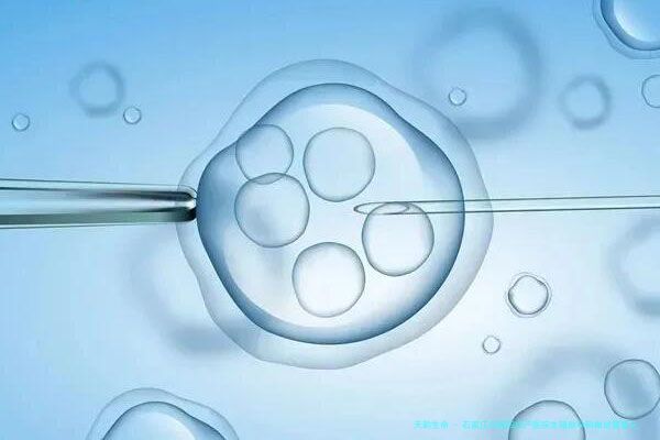 石家庄市第四妇产医院生殖助孕科做试管婴儿怎么样？
