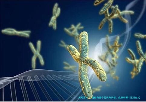 成都有哪个医院做试管，成都有哪个医院做试管婴儿比较好