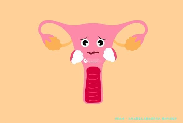 沧州试管婴儿冻胚给保存多久 哪些年龄段卵子质量更好