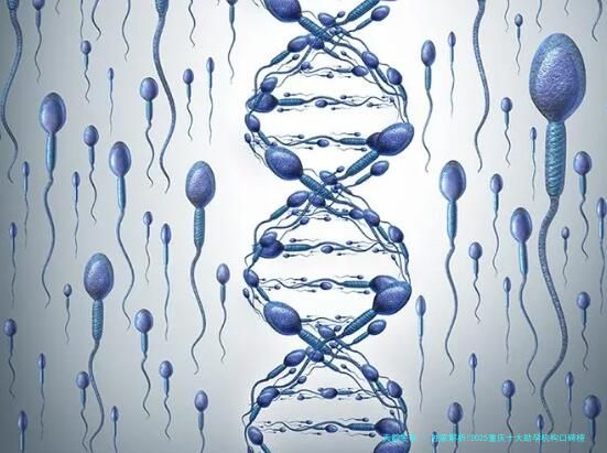 独家解析!2025重庆十大助孕机构口碑榜,第三代试管婴儿技术适配同性家庭