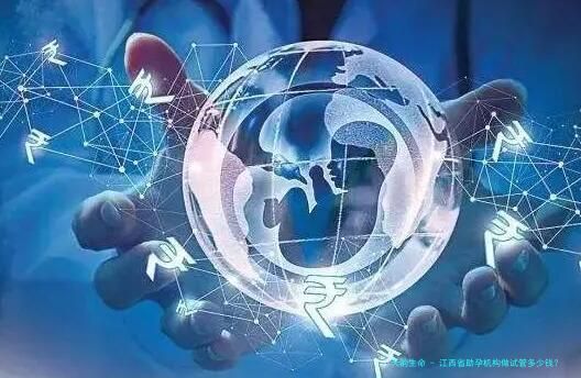 江西省助孕机构做试管多少钱？