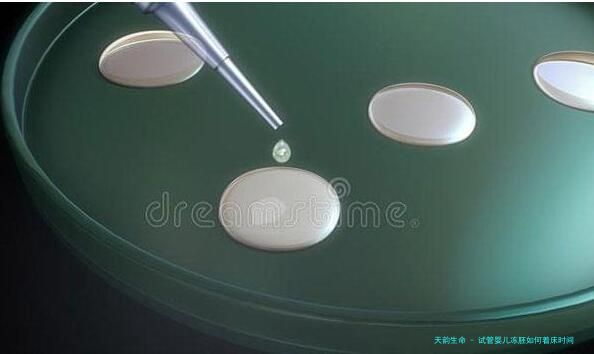 试管婴儿冻胚如何着床时间