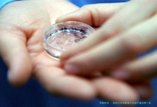 深圳三代试管婴儿生孩子成功率一览