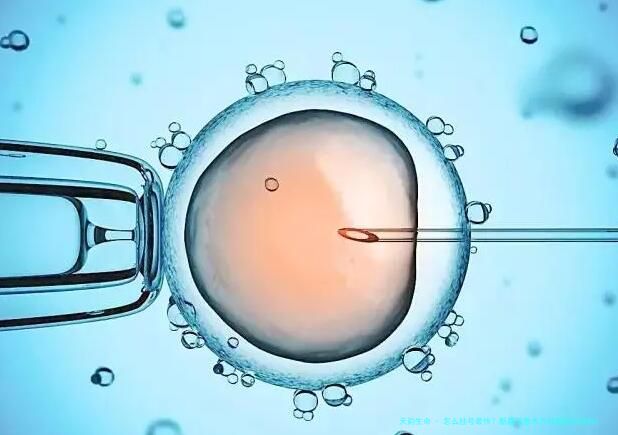 怎么挂号最快？新疆乌鲁木齐试管医院推荐!