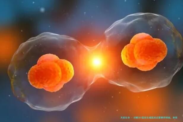 详解301医院生殖医院试管费用明细，单周期花费一般高于5万元