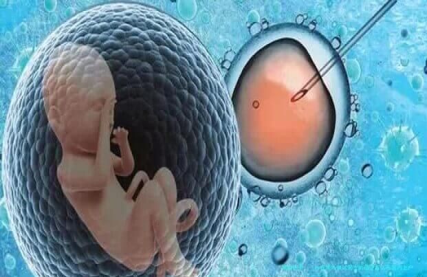 les在国外做试管生的孩子怎么在国内上户口？