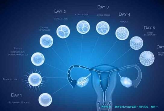 单身女性2026欲试管？国内医院、费用一览