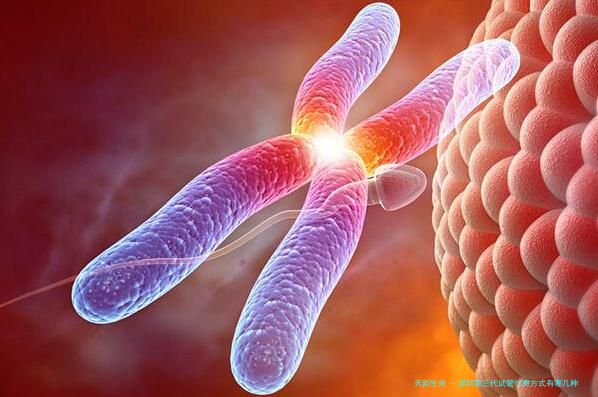 深圳第三代试管付费方式有哪几种