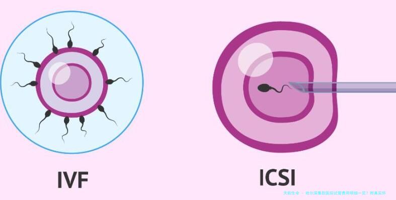哈尔滨集款医院试管费用明细一览？附真实怀孕示例参考