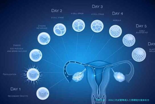 2026二代试管降调人工周期短方案和长方案哪个费用高？