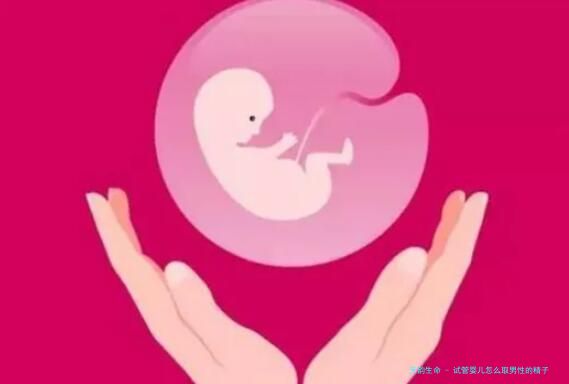 试管婴儿怎么取男性的精子