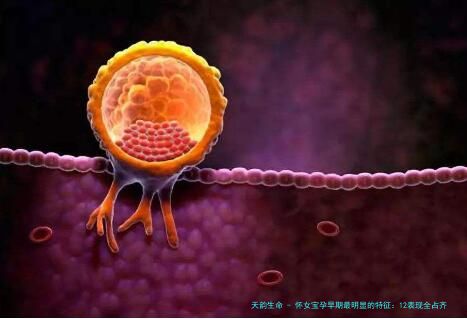 怀女宝孕早期最明显的特征：12表现全占齐女孩没话说