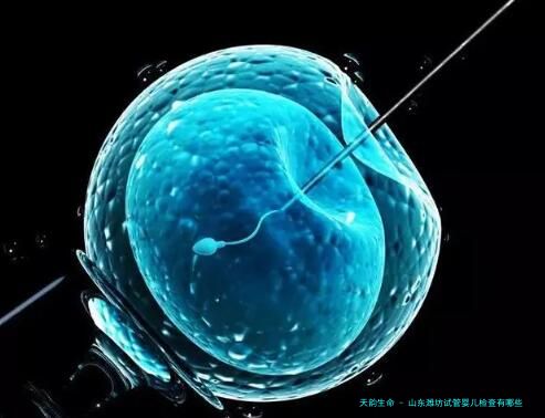 山东潍坊试管婴儿检查有哪些