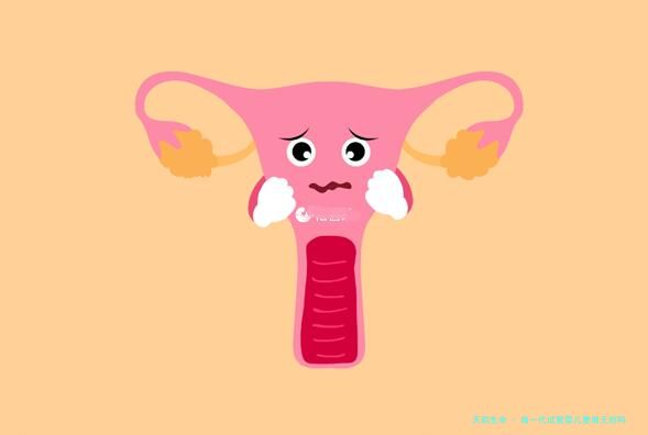 做一代试管婴儿要做无创吗