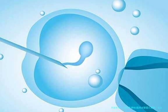 2026天津983医院试管婴儿费用，公立医院良心价格