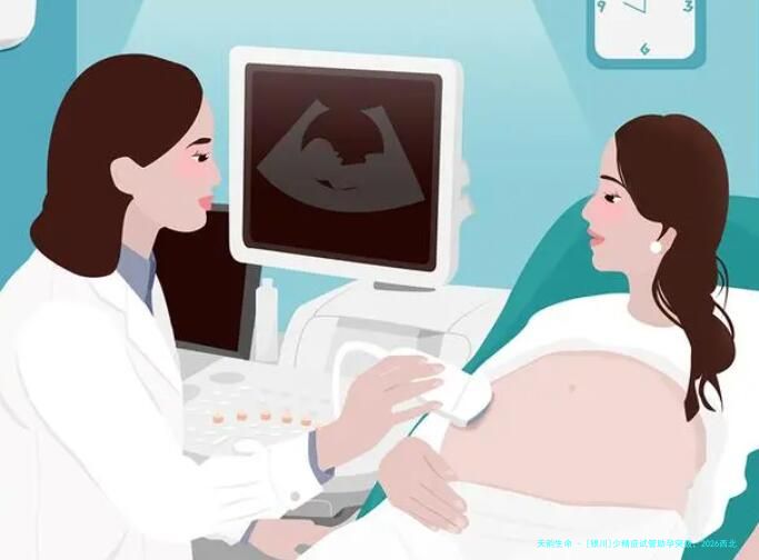 [银川]少精症试管助孕突破，2026西北地区特色诊疗实录