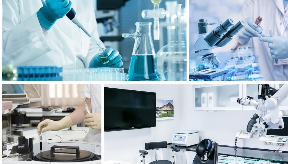 2026年深圳试管婴儿成功率及三代试管婴儿服务介绍