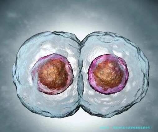 高龄女性能去试管格鲁吉亚助孕吗？