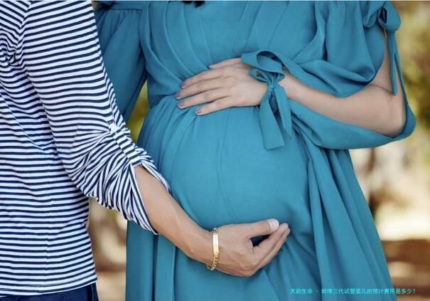 蚌埠三代试管婴儿的预计费用是多少？