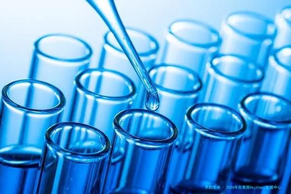 2026年在泰国Vejthani生殖中心做试管整体花费大约多少？