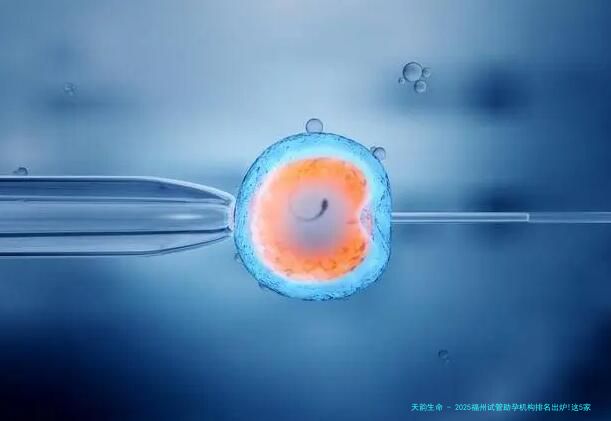 2025福州试管助孕机构排名出炉!这5家生殖中心技术最受认可