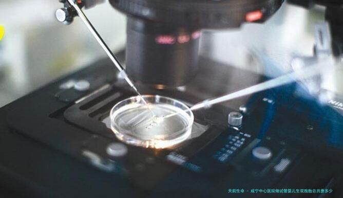 咸宁中心医院做试管婴儿生双胞胎总共要多少钱？