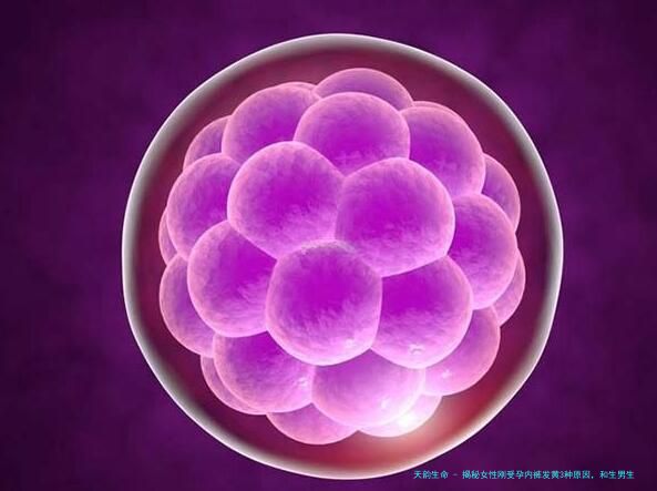 揭秘女性刚受孕内裤发黄3种原因，和生男生女有莫大联系