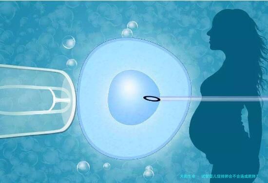试管婴儿促排卵会不会造成肥胖？