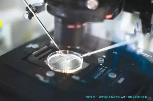 试管短方案成功率怎么样？移植之前的注意事项