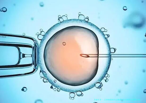 江西南昌有可以做第三代试管婴儿的医院吗？选对医院心不慌