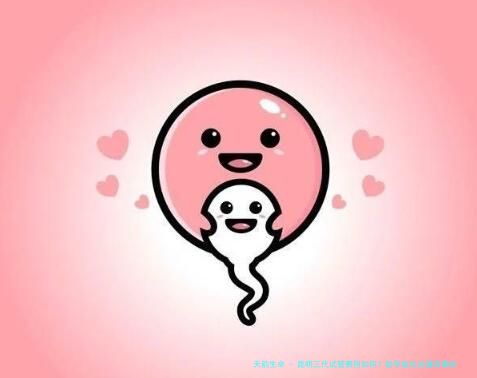 昆明三代试管费用如何？助孕成功关键有哪些？