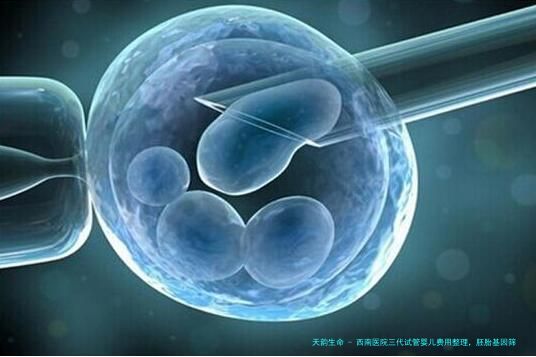 西南医院三代试管婴儿费用整理，胚胎基因筛查要1.5-3万