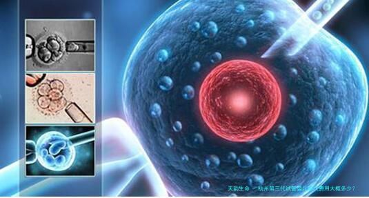 杭州第三代试管婴儿单次费用大概多少？