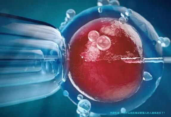 为什么现在做试管婴儿的人越来越多了？