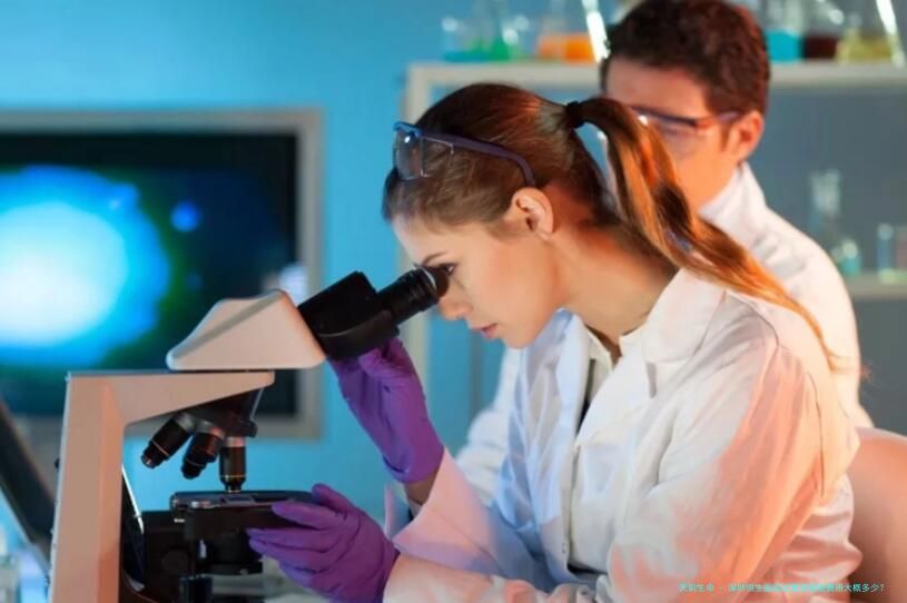 深圳恒生医院试管双胞胎费用大概多少？