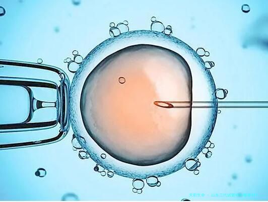 山东三代试管机构哪家好？