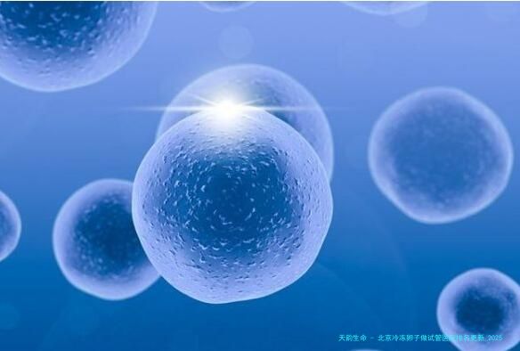 北京冷冻卵子做试管医院排名更新_2025年冻卵复苏试管指南，附费用明细、对比与医院选择全攻略