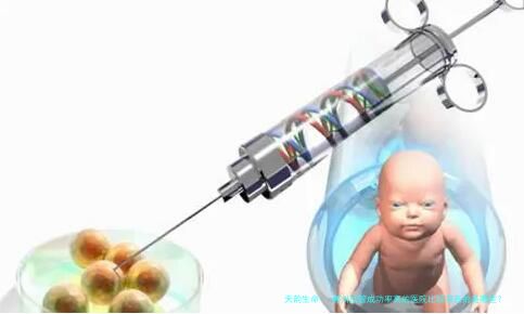 郴州试管成功率高的医院比较有名的是哪些？