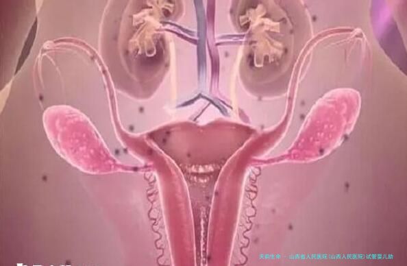 山西省人民医院(山西人民医院)试管婴儿助孕费用是多少？