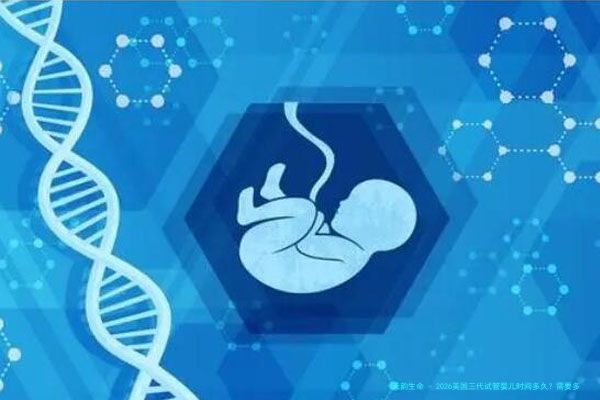 2026美国三代试管婴儿时间多久？需要多少钱？