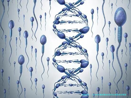 2026年多囊卵巢综合症可以做泰国试管婴儿吗？成功率高吗？