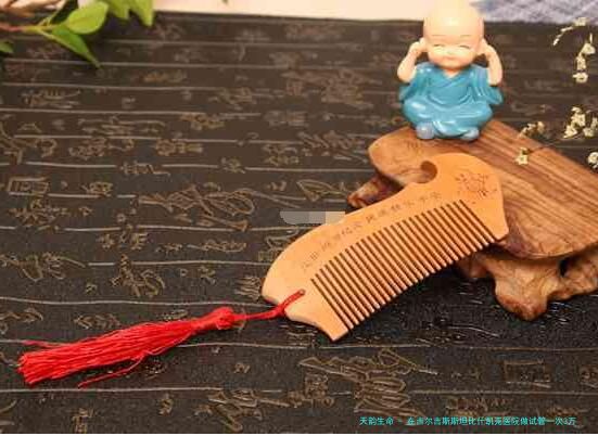 在吉尔吉斯斯坦比什凯克医院做试管一次3万至10万，其中医保可以报多少？