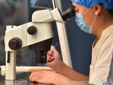 大连57岁试管医院哪家强？认证排行榜与高龄三代试管成功指南全解析